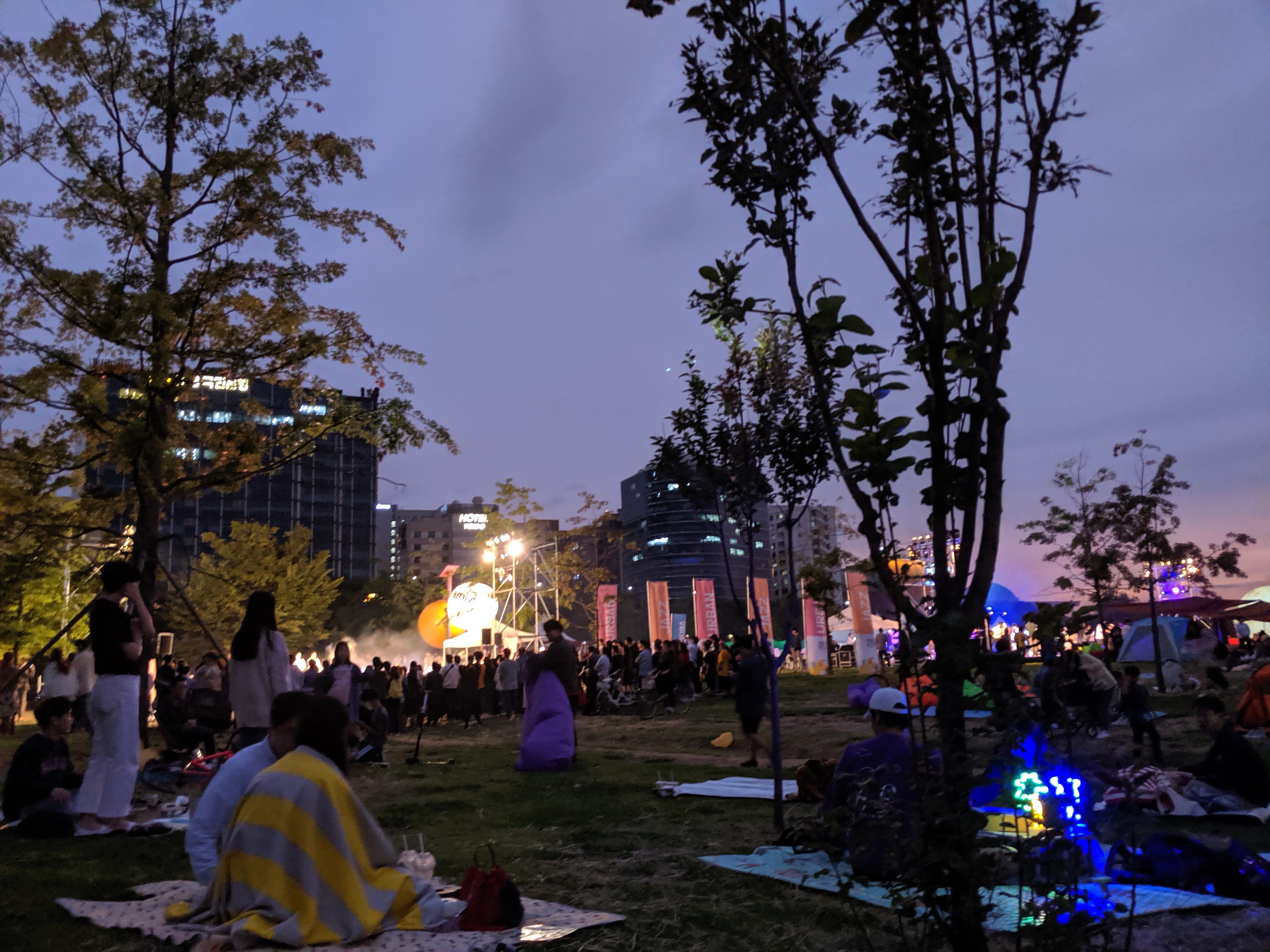 FA19_Semester-in-South-Korea-Sogang-University_Stephanie-Hernandez_William-Woods-University_@le_pony_rogue-_photo-contest_concert-in-the-park-1